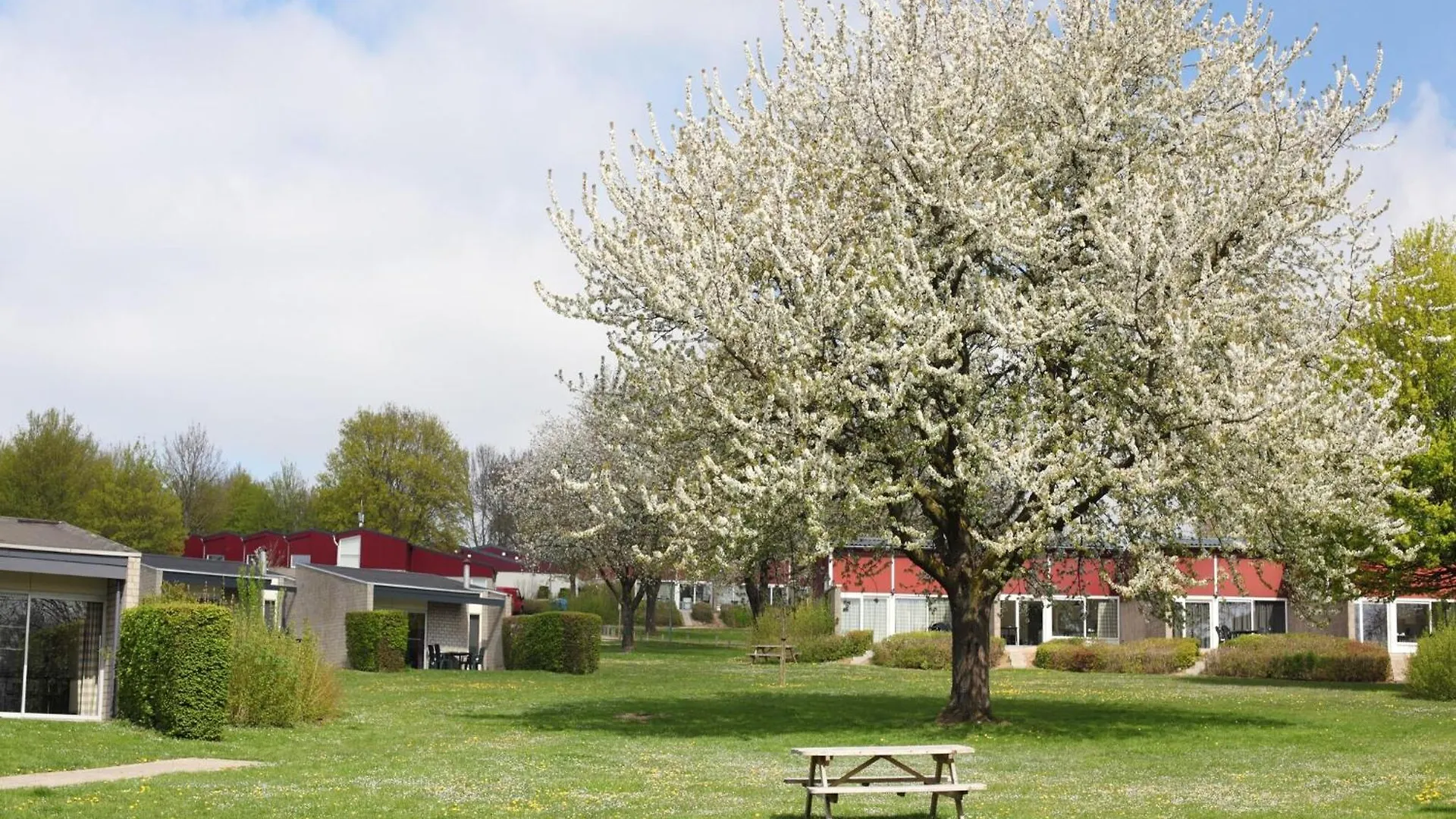 Holiday home Nice Bungalow With Sauna And Bubble Bath, On A Holiday Park, 4 Km Valkenburg Walem