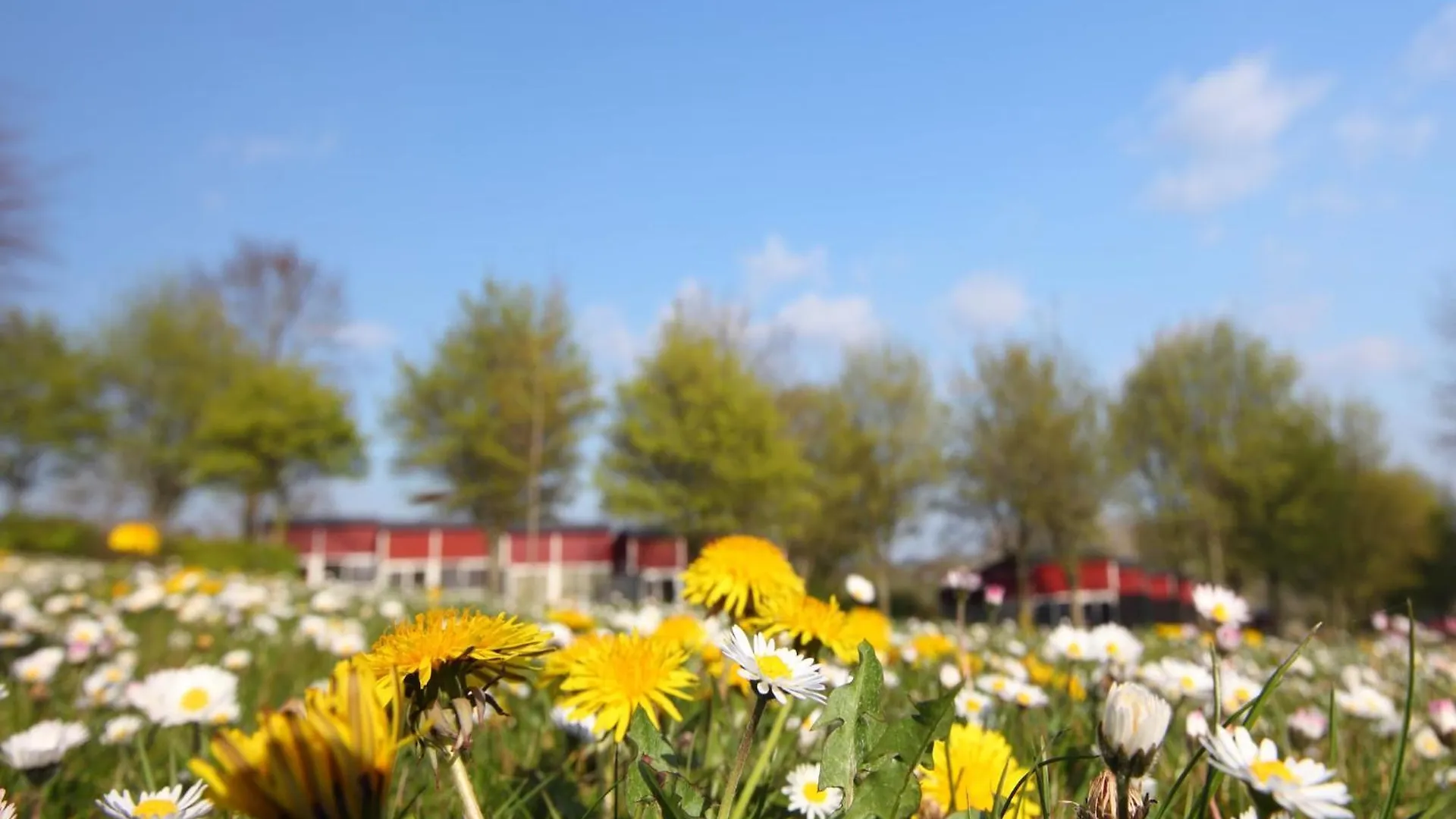 Nice Bungalow With Sauna And Bubble Bath, On A Holiday Park, 4 Km Valkenburg Walem